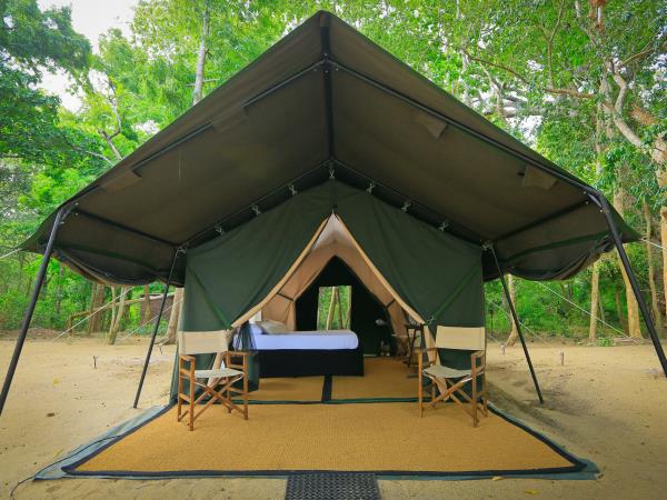 Swim with Blue Whale and safari in Sri Lanka