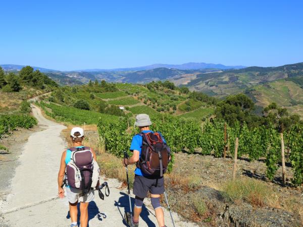 Highlights of Northern Portugal