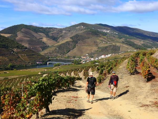 Douro Valley self guided walking holiday in Portugal