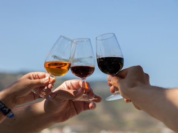 Douro Valley self guided walking holiday in Portugal