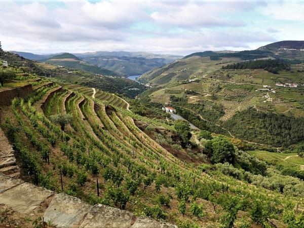 Douro Valley self guided walking holiday in Portugal