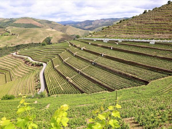Douro Valley self guided walking holiday in Portugal