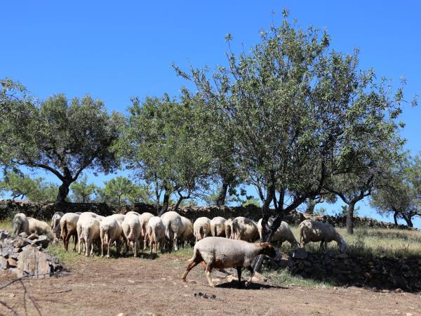 Douro Valley self guided walking holiday in Portugal