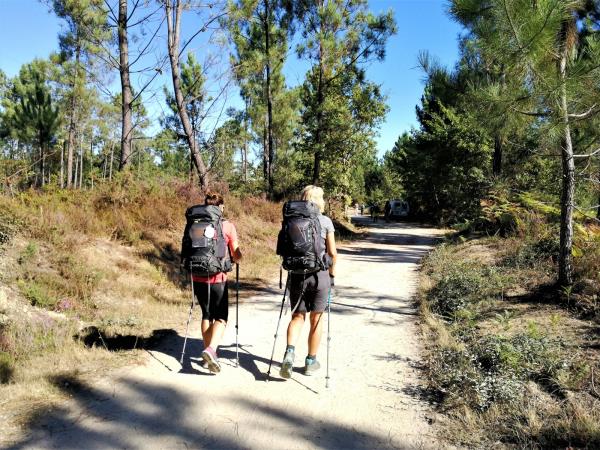 Portuguese Camino de Santiago walking holiday