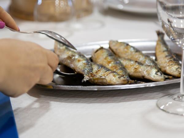 Portuguese Coastal Camino walking holiday, last 100km
