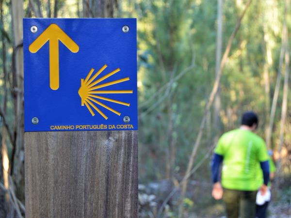 Portuguese Coastal Camino walking holiday, last 100km