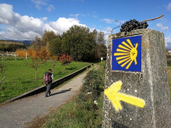 Portuguese Coastal Camino walking holiday, last 100km