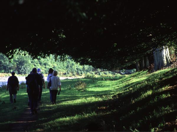 St Cuthberts Way walking holiday, England & Scotland