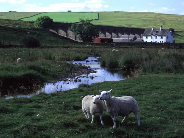 St Cuthberts Way walking holiday, England & Scotland