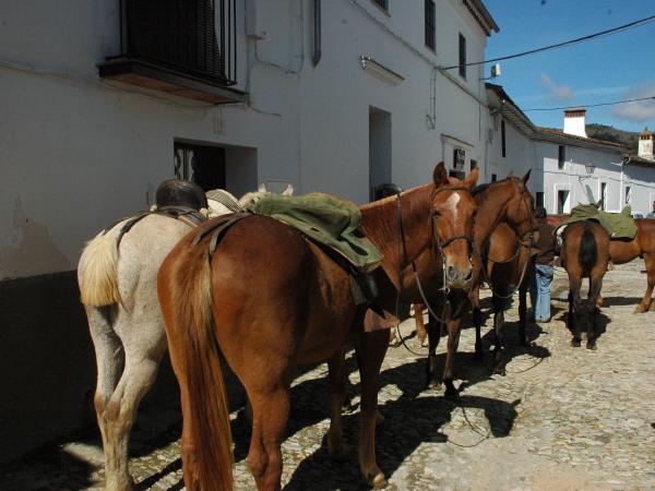 Andalucia family activity holiday in Spain