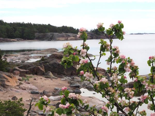Helsinki to Hanko cycling holiday in Finland