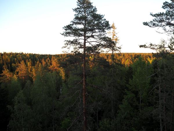 Finland activity holiday in Nuuksio National Park