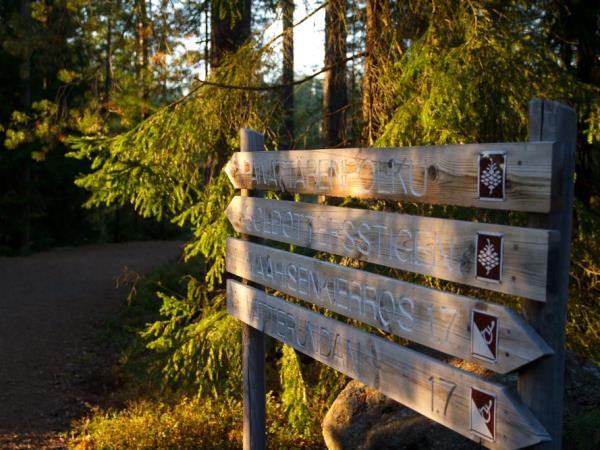 Finland activity holiday in Nuuksio National Park