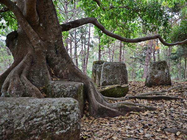 Northern Thailand and Laos cultural holiday