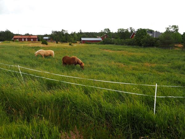 Cycling holiday in the Finnish Archipelago