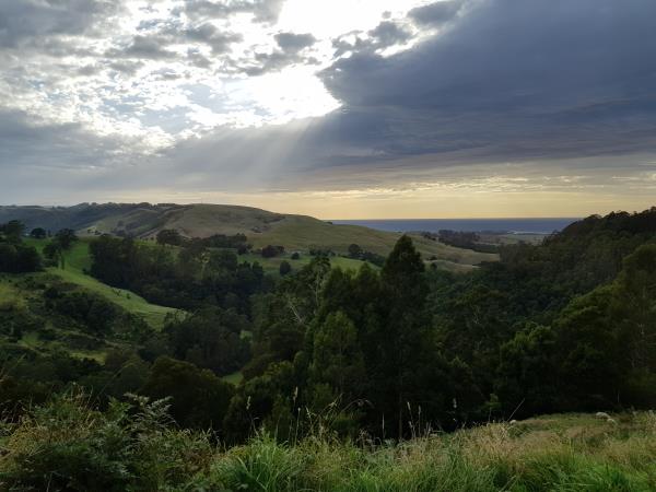 Private Great Ocean Road tour