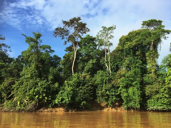 West Malaysia and Borneo small group tour