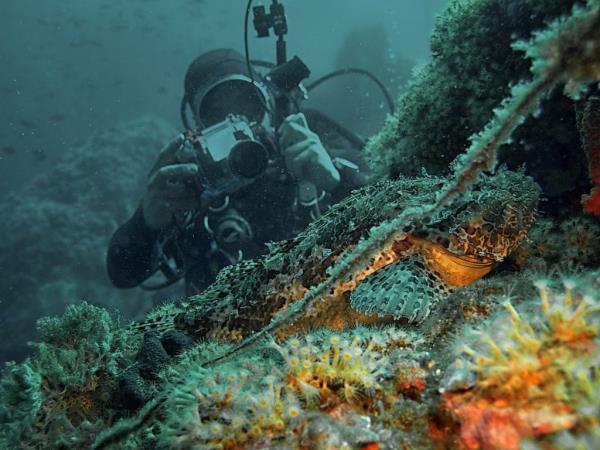 Marine conversation volunteering in Croatia