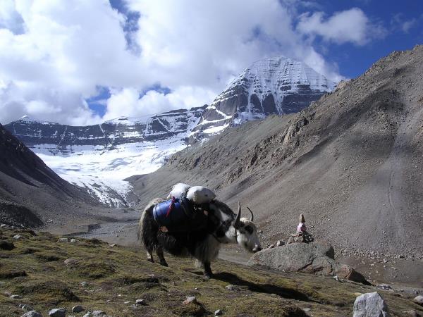 Northern Tibet adventure tour, Qiangtang to Kailash