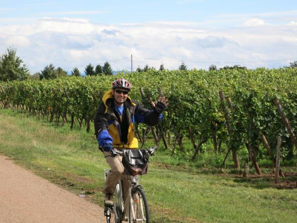 Alsace cycling holiday in France