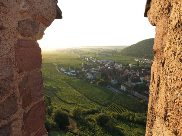 Alsace cycling holiday in France