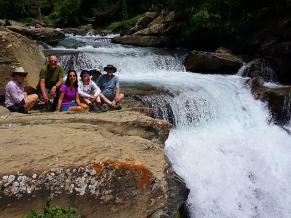 stream wonderfalls stream wonderfalls