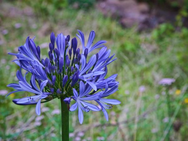 Eastern Madeira walking holiday
