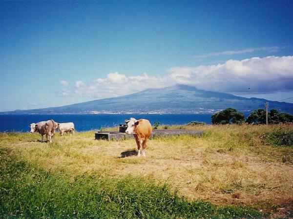 Pico Island fly drive holiday in the Azores