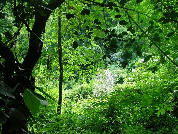 Northeast Thailand holiday, World Heritage sites