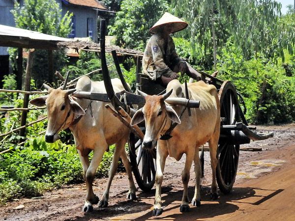 South Laos holiday, Mekong adventure