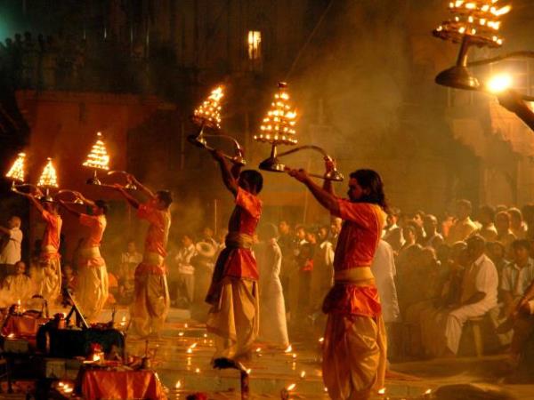India wildlife and culture holiday