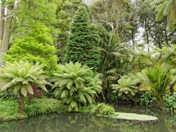 Sao Miguel tour in the Azores