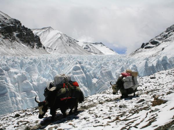 Mount Everest expedition, North Ridge route