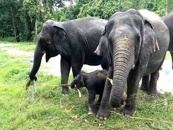 Nepal to Sri Lanka 4 week tour