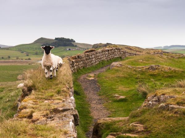 Hadrian's Wall cycling holiday, England