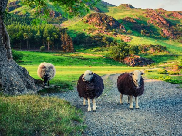 Walk the Lake District holiday