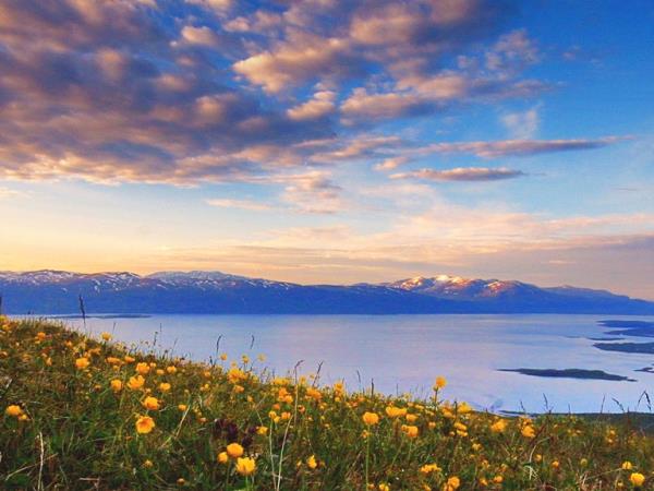 Lapland summer holiday in Sweden