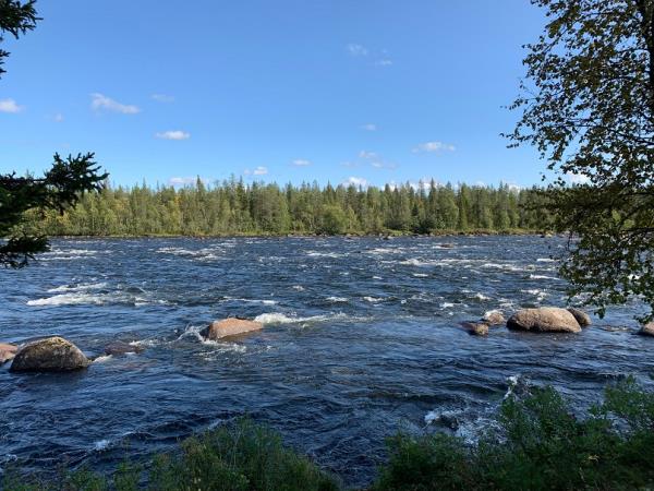 Lapland summer holiday in Sweden