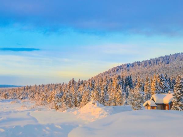 Northern lights holiday in Swedish Lapland