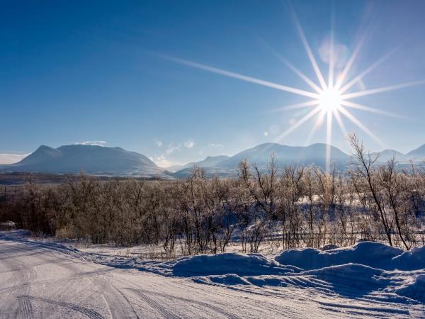 Northern lights holiday in Swedish Lapland