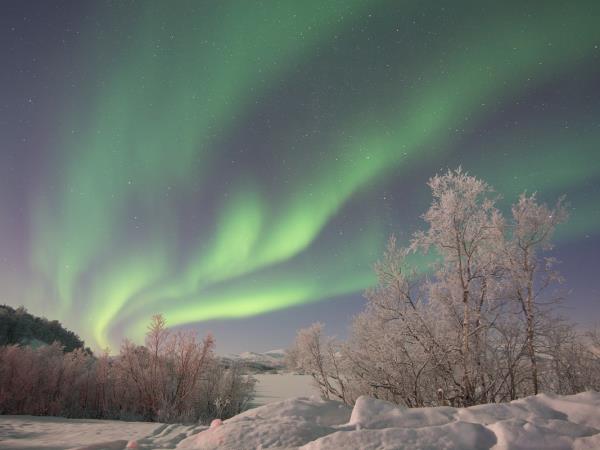 Northern lights holiday in Swedish Lapland