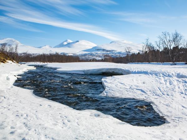 Northern lights holiday in Swedish Lapland