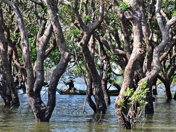 Cambodia holiday, beyond Angkor
