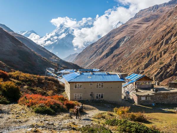 Annapurna circuit trek holiday