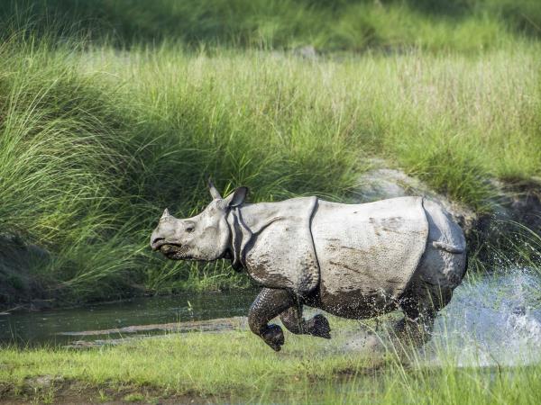 Explore Nepal in two weeks holiday
