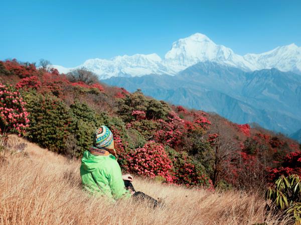 Explore Nepal in two weeks holiday