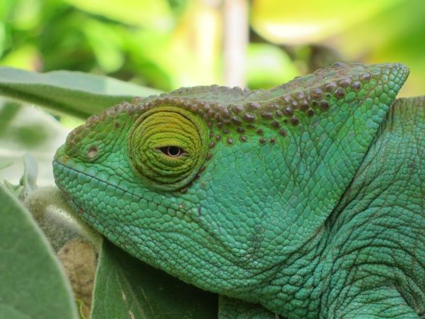 Essence of Madagascar small group tour