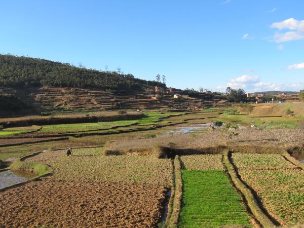 Essence of Madagascar small group tour