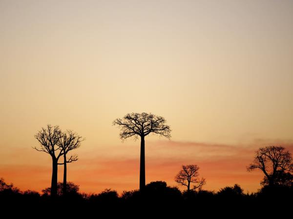 Essence of Madagascar small group tour