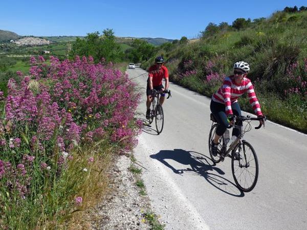 Italy self guided cycling and culinary tour